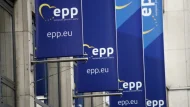 epp-elk-696×464