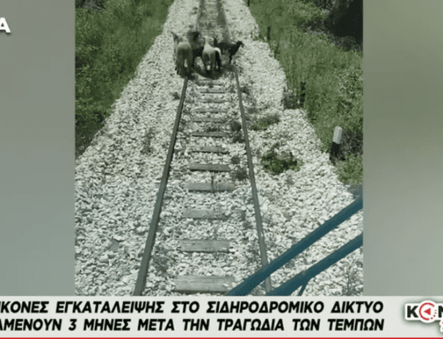 ΤΕΜ