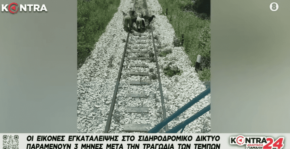 ΤΕΜ