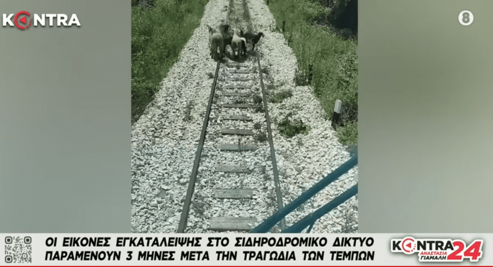 ΤΕΜ