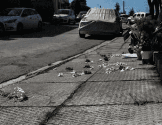 καρα