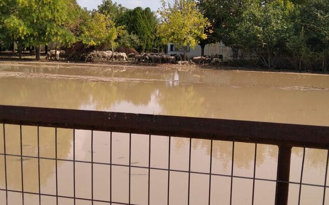 plhmmyres-trikala-3