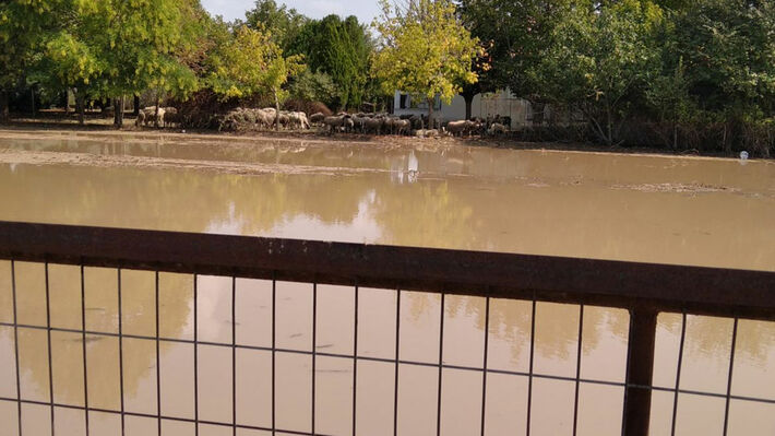 plhmmyres-trikala-3