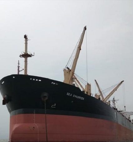 sea champion