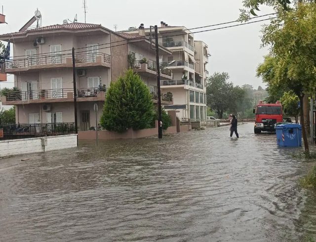 trikala_diasosi_paidioy-02