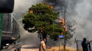 ΠΥΡΚΑΓΙΑ ΣΕ ΔΑΣΙΚΗ ΕΚΤΑΣΗ ΣΤΟ ΛΟΥΤΡΑΚΙ (EUROKINISSI)