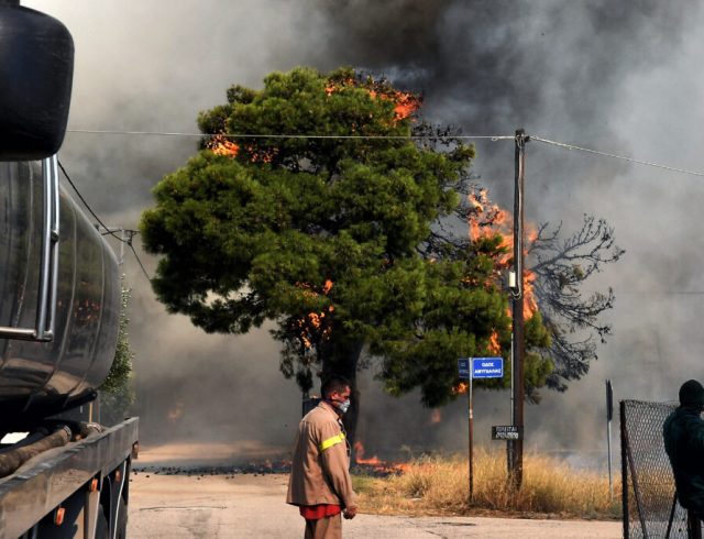 ΠΥΡΚΑΓΙΑ ΣΕ ΔΑΣΙΚΗ ΕΚΤΑΣΗ ΣΤΟ ΛΟΥΤΡΑΚΙ (EUROKINISSI)