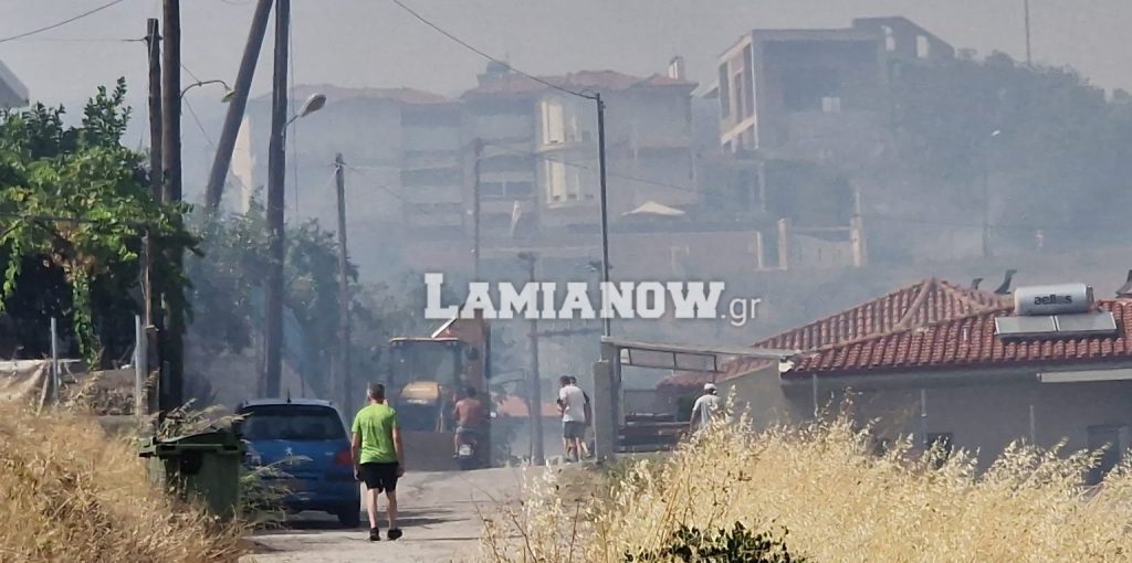 fotia_lamia