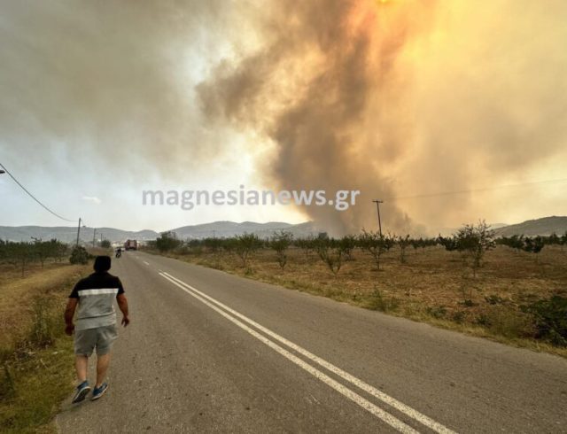fotia_magnisia