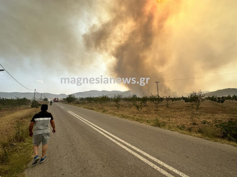 fotia_magnisia