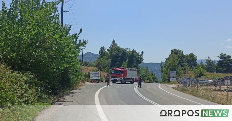 fotia_oropos_1