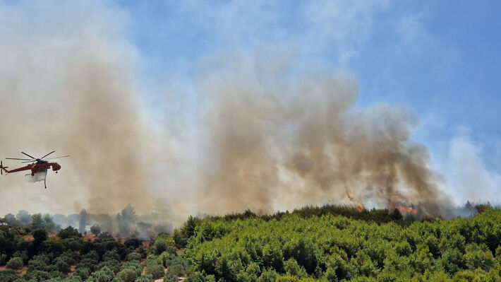 fotia_pyrgo_palaiobarbasaina-4 (1)