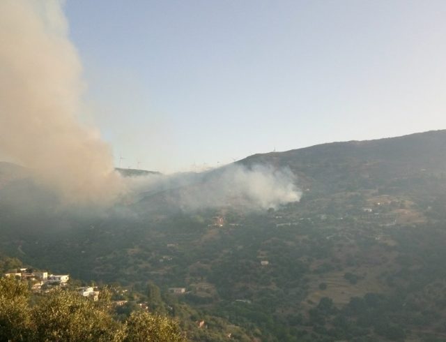karystos_fotia_003