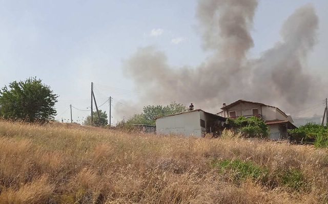 lamia_f_alsos-7