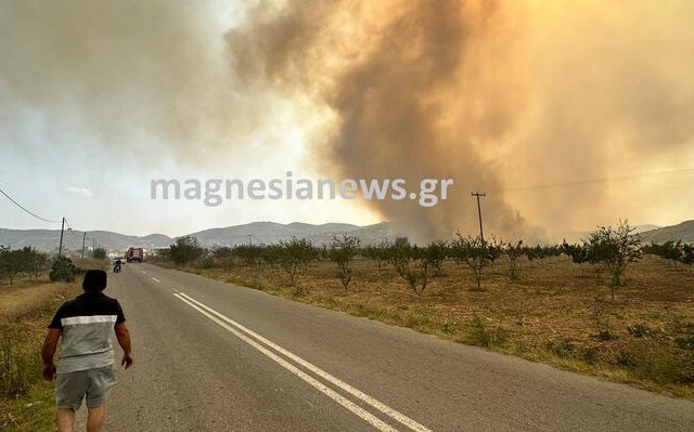 magnisia_f-3