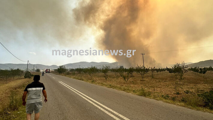 magnisia_f-3