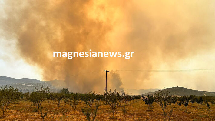 magnisia_f-5