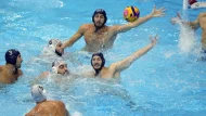 polo-1