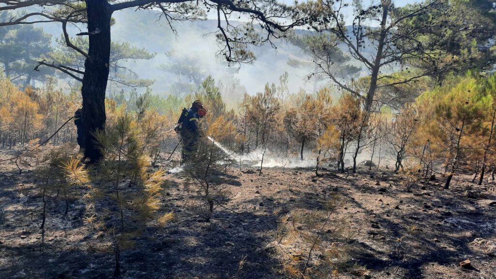 xios-fotia-katavatis-1-1024×576