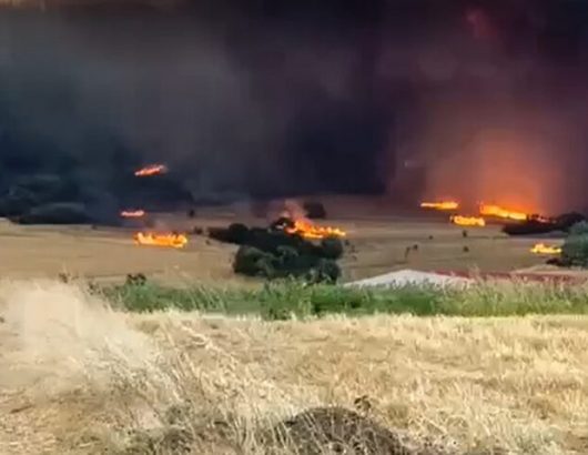 ÖÙÔÉÁ ÓÔÇÍ ÁËÅÎÁÍÄÑÏÕÐÏËÇ(Åvros-news.gr/Eurokinissi)