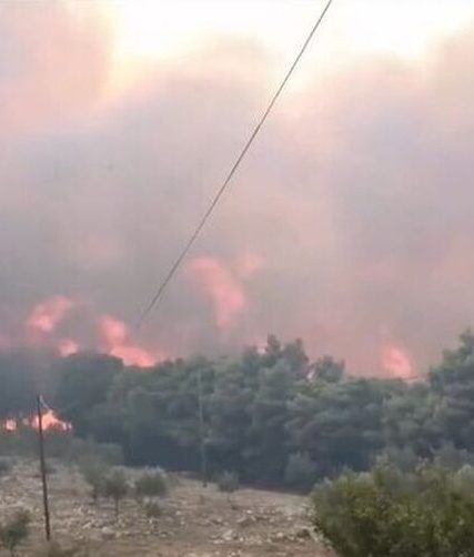 fotia-evros-alexandroupoli