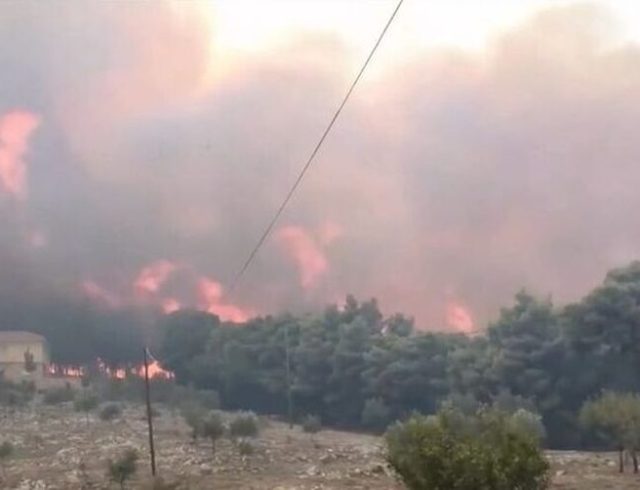 fotia-evros-alexandroupoli