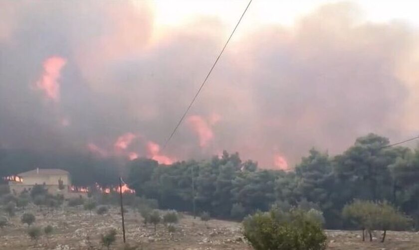 fotia-evros-alexandroupoli