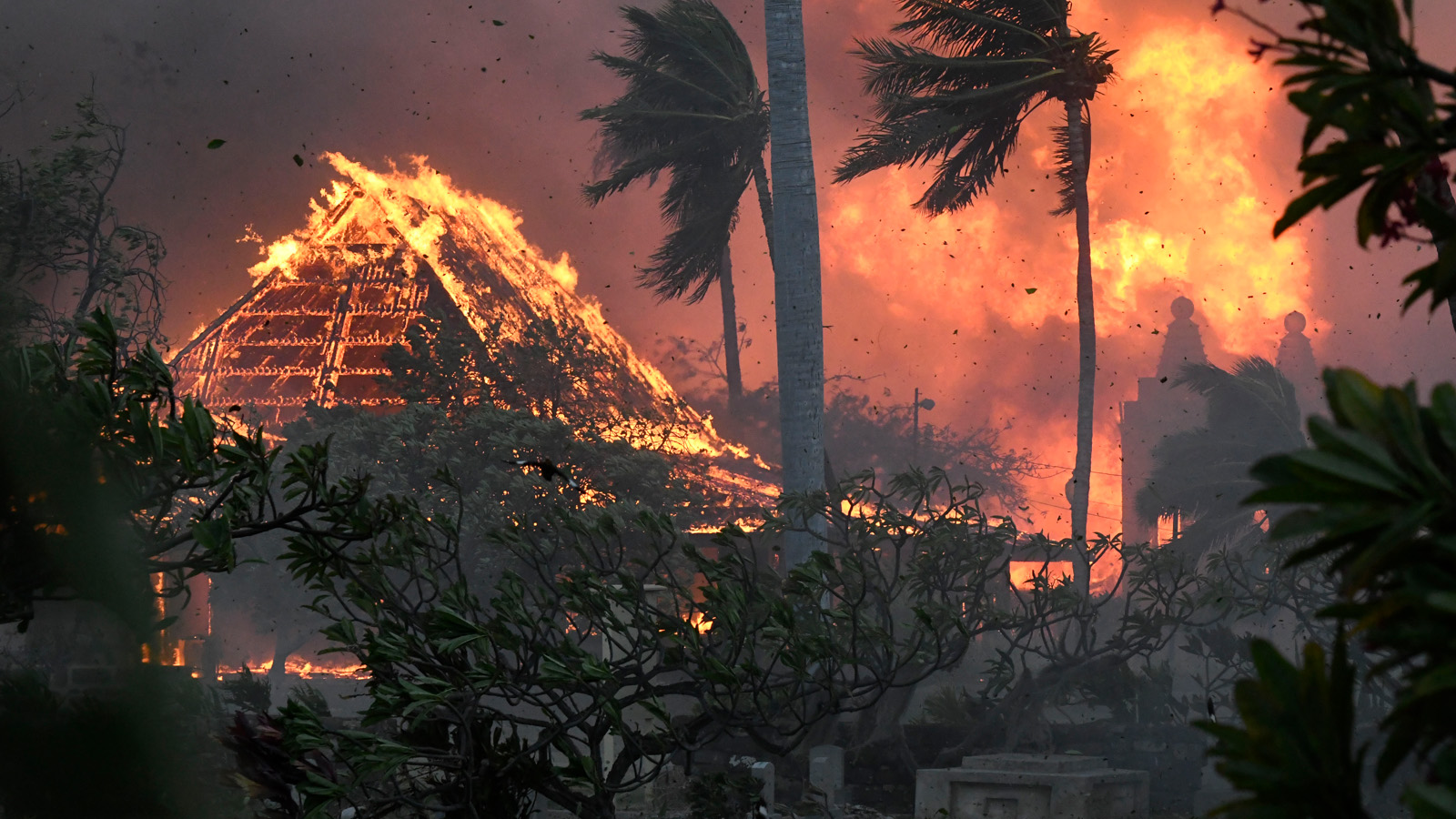 hawaii_fire