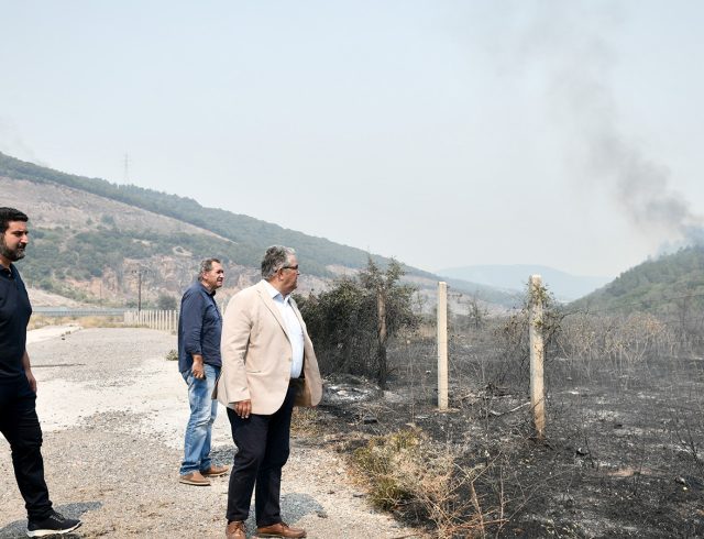 koyts_evros_kamena-06
