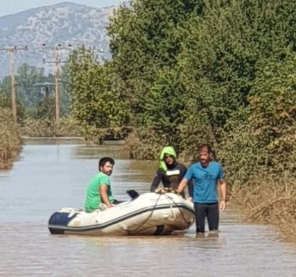 karditsa-1