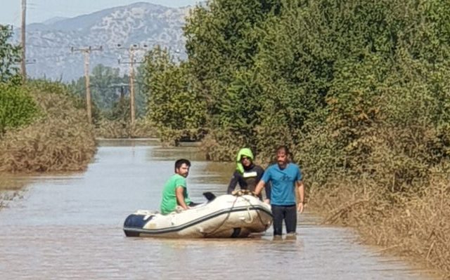 karditsa-1