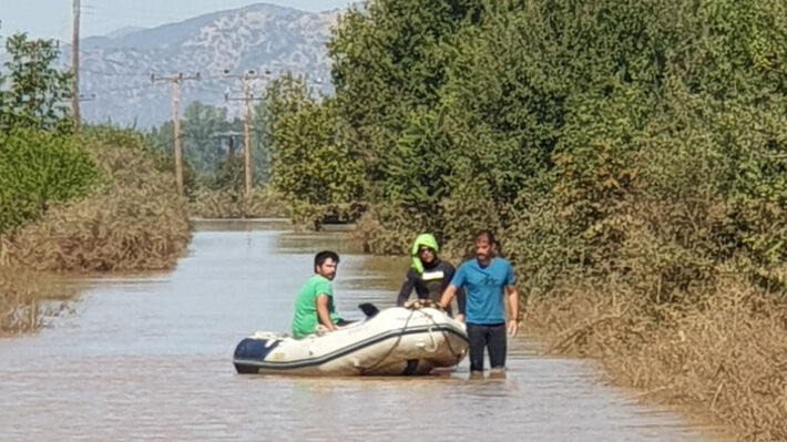 karditsa-1