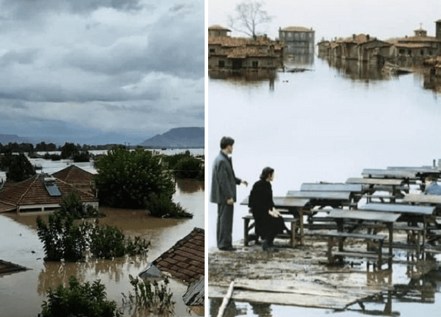 καρδίτσα_λιβάδι
