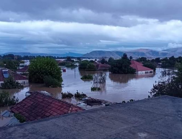 metamorfosi_karditsa-01