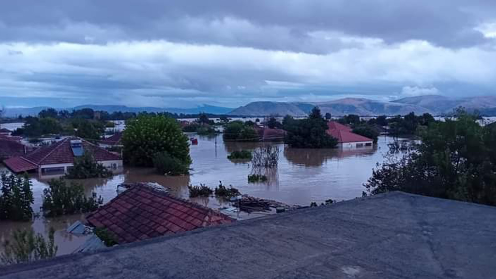 metamorfosi_karditsa-01