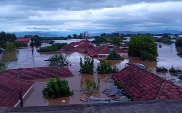 metamorfosi_karditsa-03