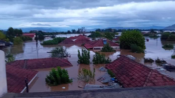 metamorfosi_karditsa-03