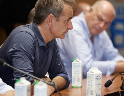 mitsotakis-2 (1)