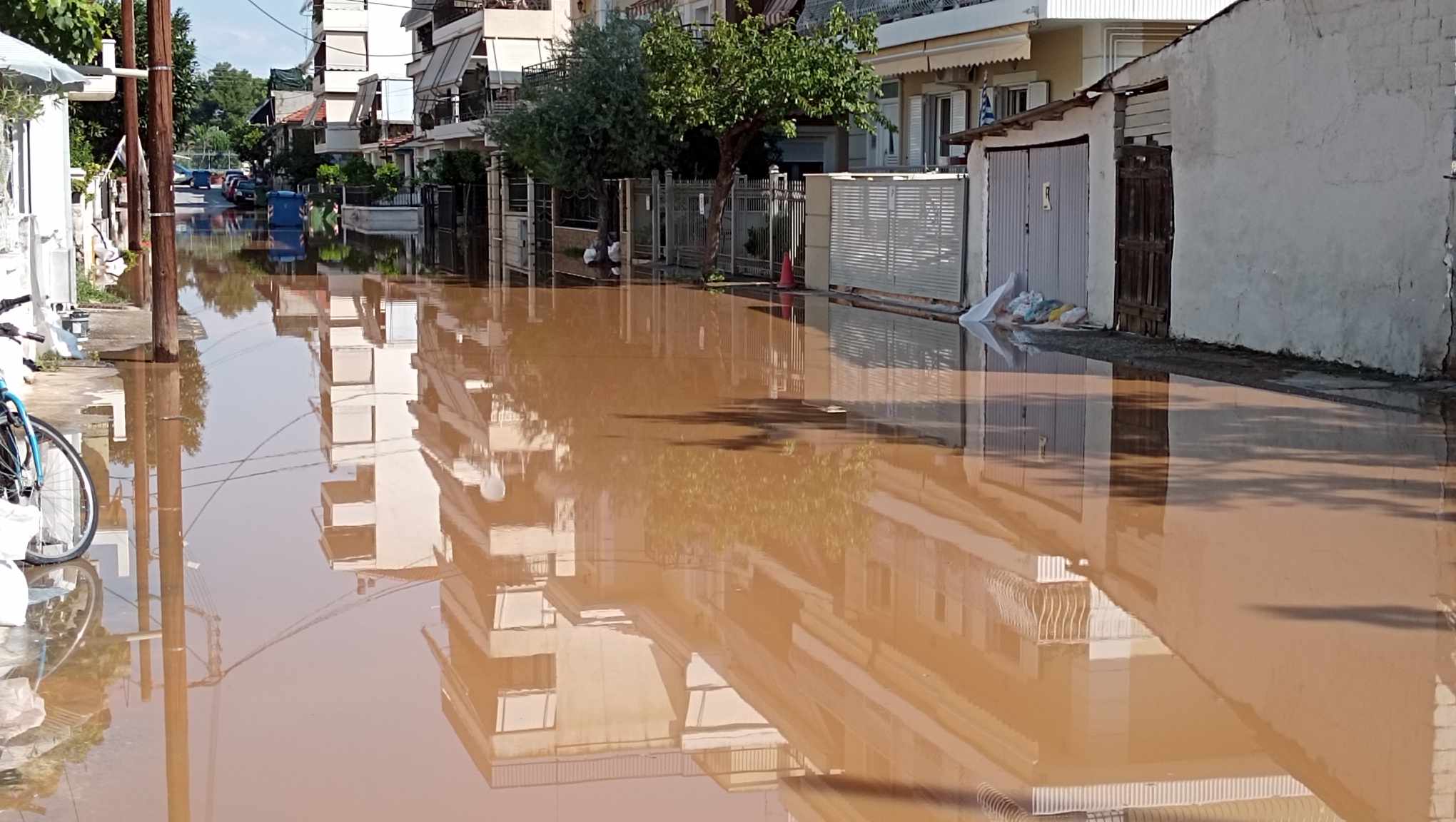 θεσσ