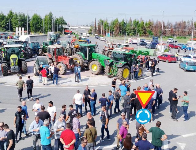 agrotes_larisa_002