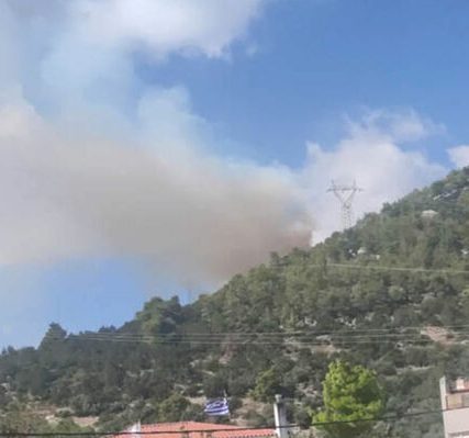 fotia-nea-makri-02