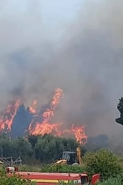 fotia_kerkyra