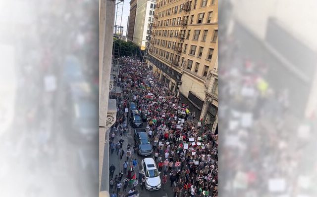 la_palestine (1)