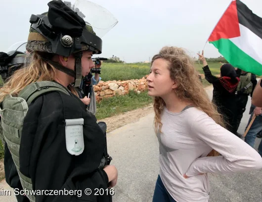ahed_tamimi