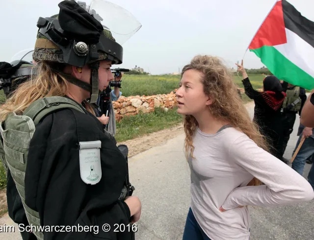 ahed_tamimi