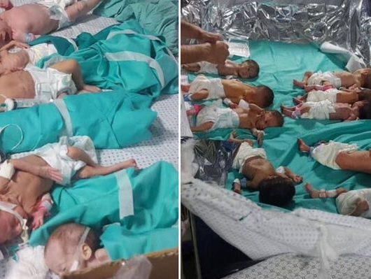 babies_gaza