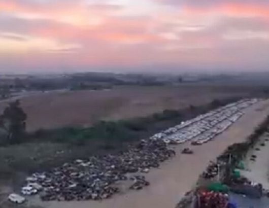 israel-parking