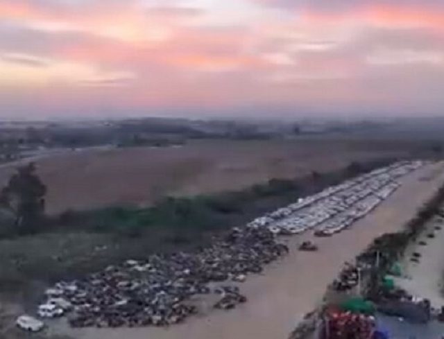 israel-parking