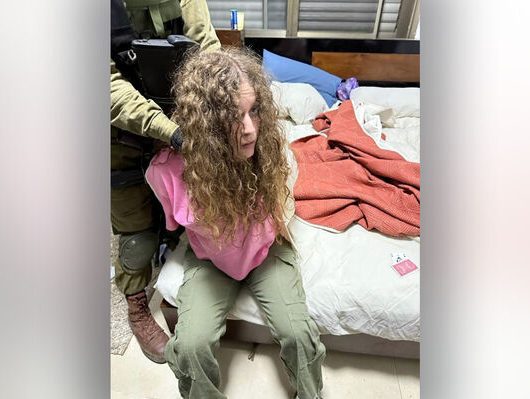 tamimi (1)