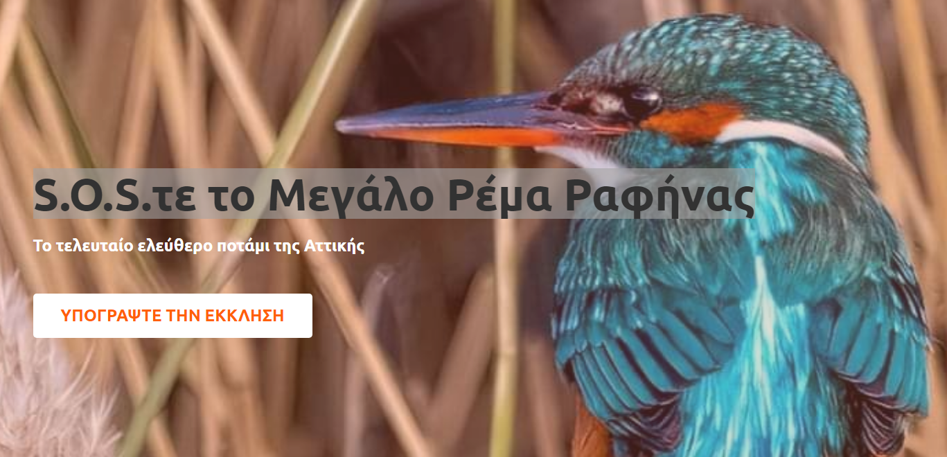 Καταγραxxxxφή